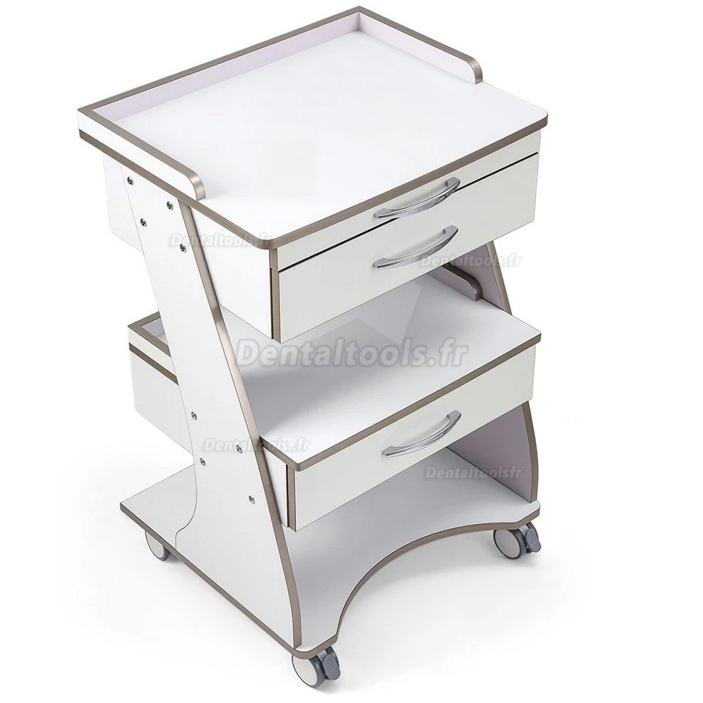 Dentech G06 chariot dentaire mobile avec plateau instruments et double tiroir